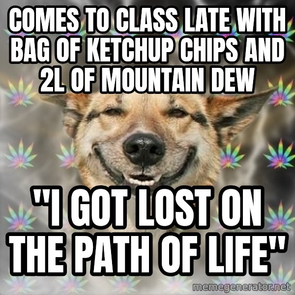 Stoner Dog meme: COMES TO CLASS LATE WITH BAG OF KETCHUP CHIPS AND 2L OF MOUNTAIN DEW / "I got lost on the path of life"