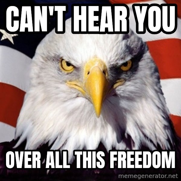 American Pride Eagle meme: can't hear you / over all this freedom