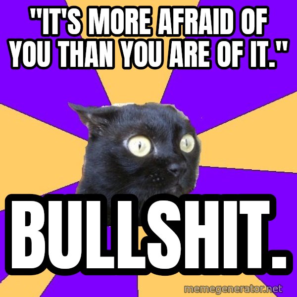 Anxiety Cat meme: "it's more afraid of you than you are of it." / BULLSHIT.
