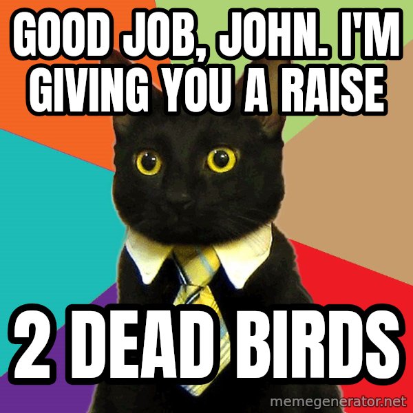 Business Cat meme: Good job, John. I'm givIng you a raise / 2 Dead Birds