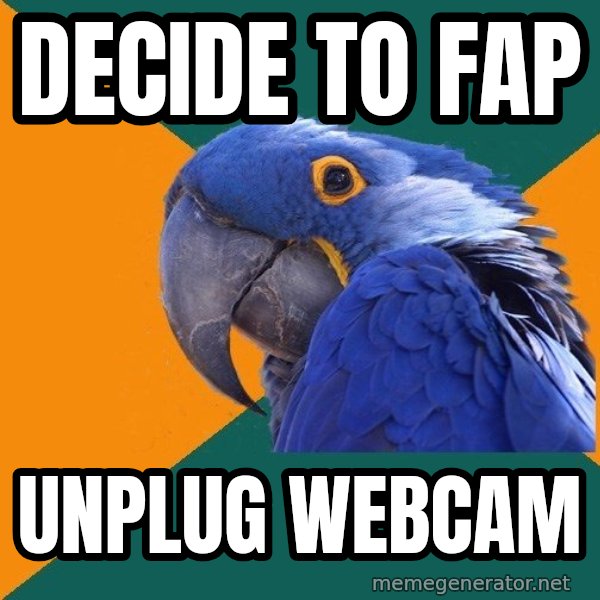 Paranoid Parrot meme: Decide to FAP / UNPLUG WEBCAM