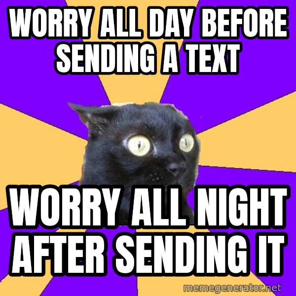 Anxiety Cat meme: Worry all day before sending a text / worry all night after sending it