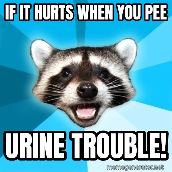 Lame Pun Coon meme: If it Hurts When you pee / Urine trouble!