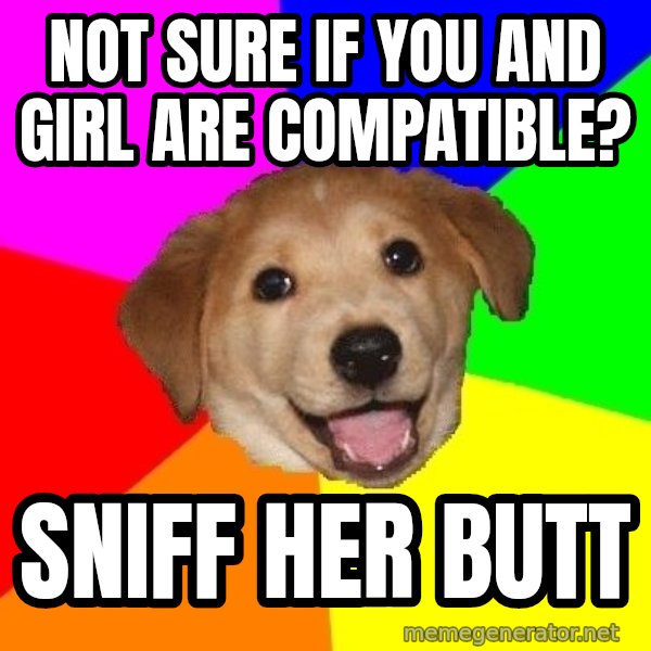 Advice Dog meme: not sure if you and girl are compatible? / sniff her butt