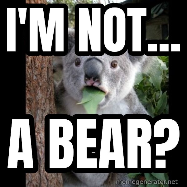 Koala can't believe it meme: i'm not... / a bear?