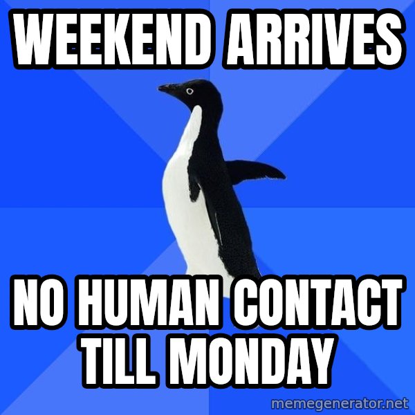 Socially Awkward Penguin meme: weekend arrives / no human contact till monday