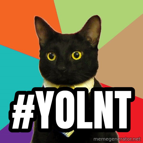 Business Cat meme: #YOLNT