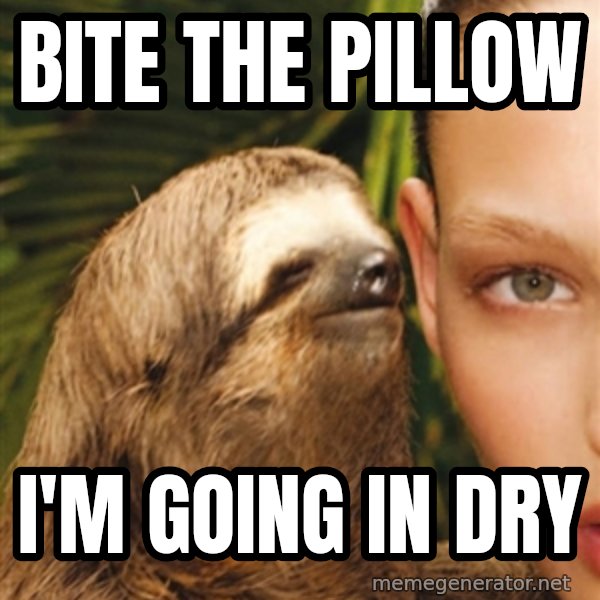 The Rape Sloth meme: bite the pillow / i'm going in dry