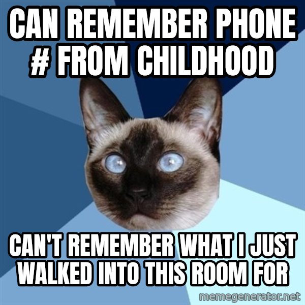Chronic Illness Cat meme: Can remember Phone # from Childhood / Can't remember what i just walked into this room for