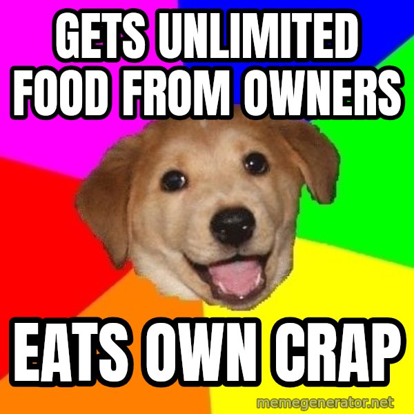Advice Dog meme: Gets unlimited food from owners / eats own crap
