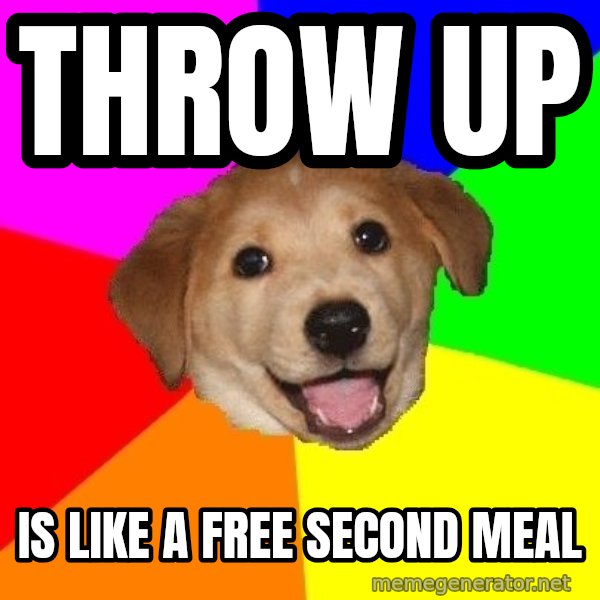 Advice Dog meme: throw up / is like a free second meal