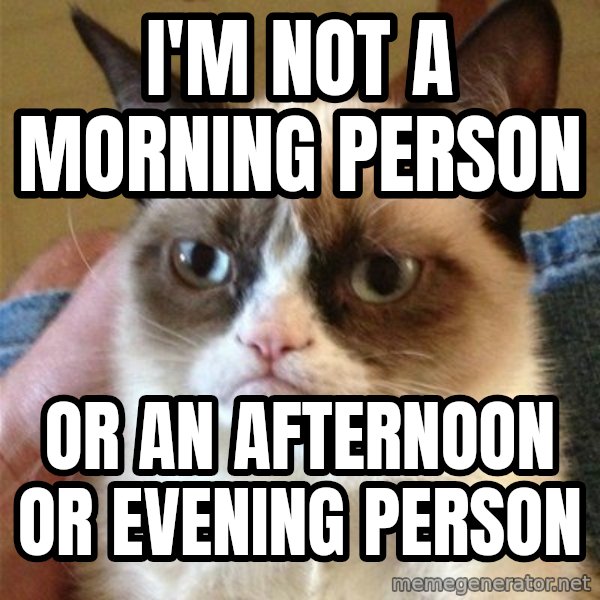 Grumpy Cat  meme: I'm not a morning person / or an afternoon or evening person