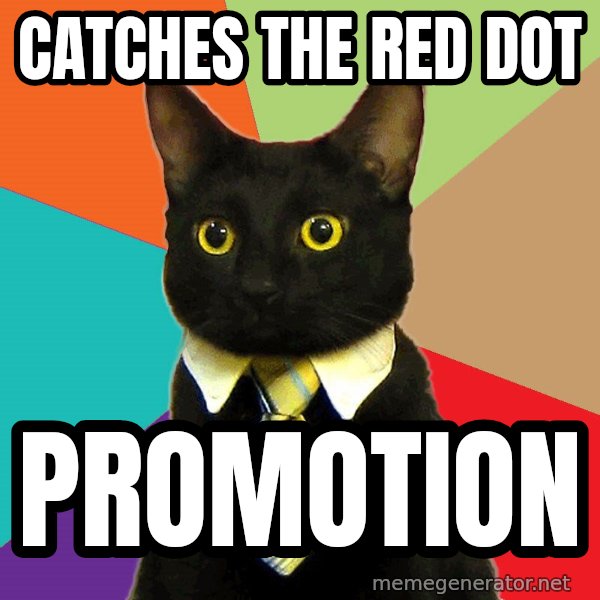 Business Cat meme: Catches the red dot / promotion