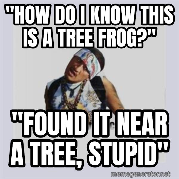 san juan cholo meme: "how do i know this is a tree frog?" / "found it near a tree, stupid"