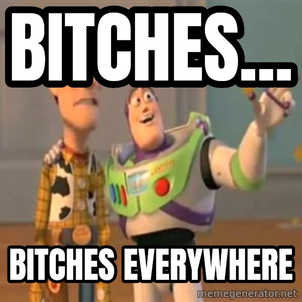 X, X Everywhere  meme: Bitches... / Bitches everywhere