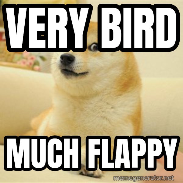 so doge meme: very bird / much flappy