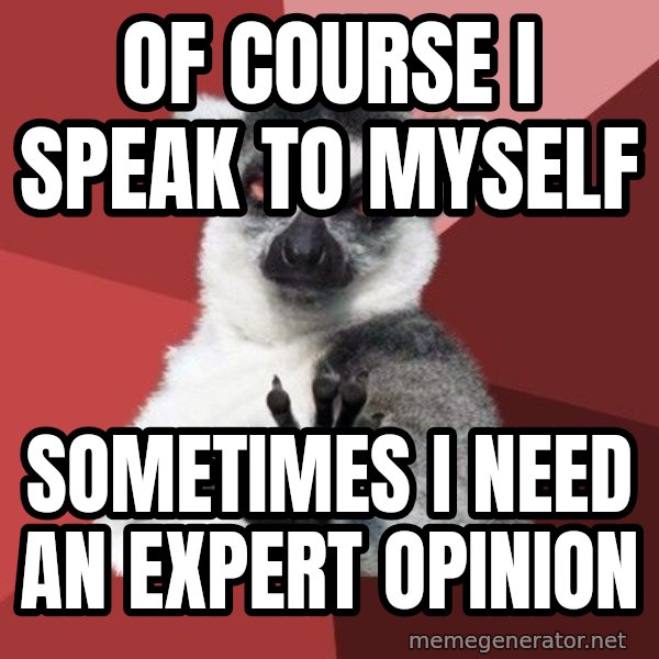 Chill Out Lemur meme: Of course I speak to myself / Sometimes I need an expert opinion