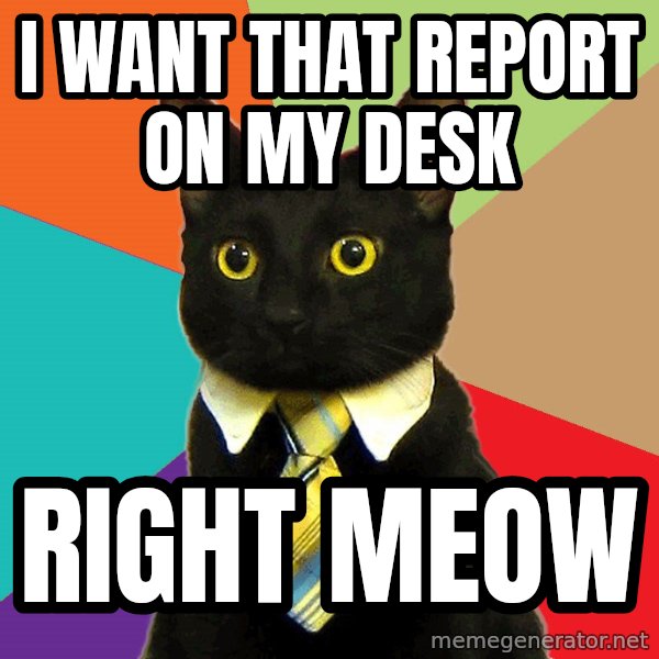 Business Cat meme: I want that report on my desk / right meow