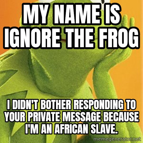 Kermit the frog meme: My name is Ignore the Frog / I didn't bother responding to your private message because                                             I'm an African slave.