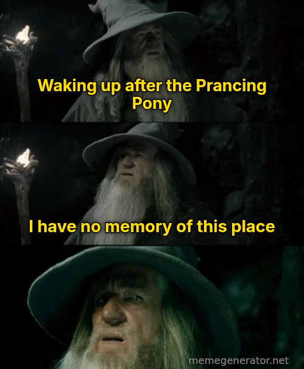 I Have No Memory of This Place meme: Waking up after the Prancing Pony / I have no memory of this place