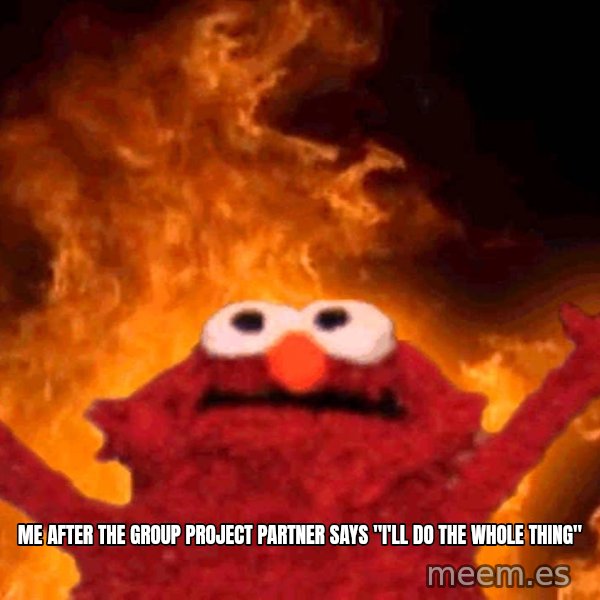 Elmo Rise meme: Me after the group project partner says "I'll do the whole thing"